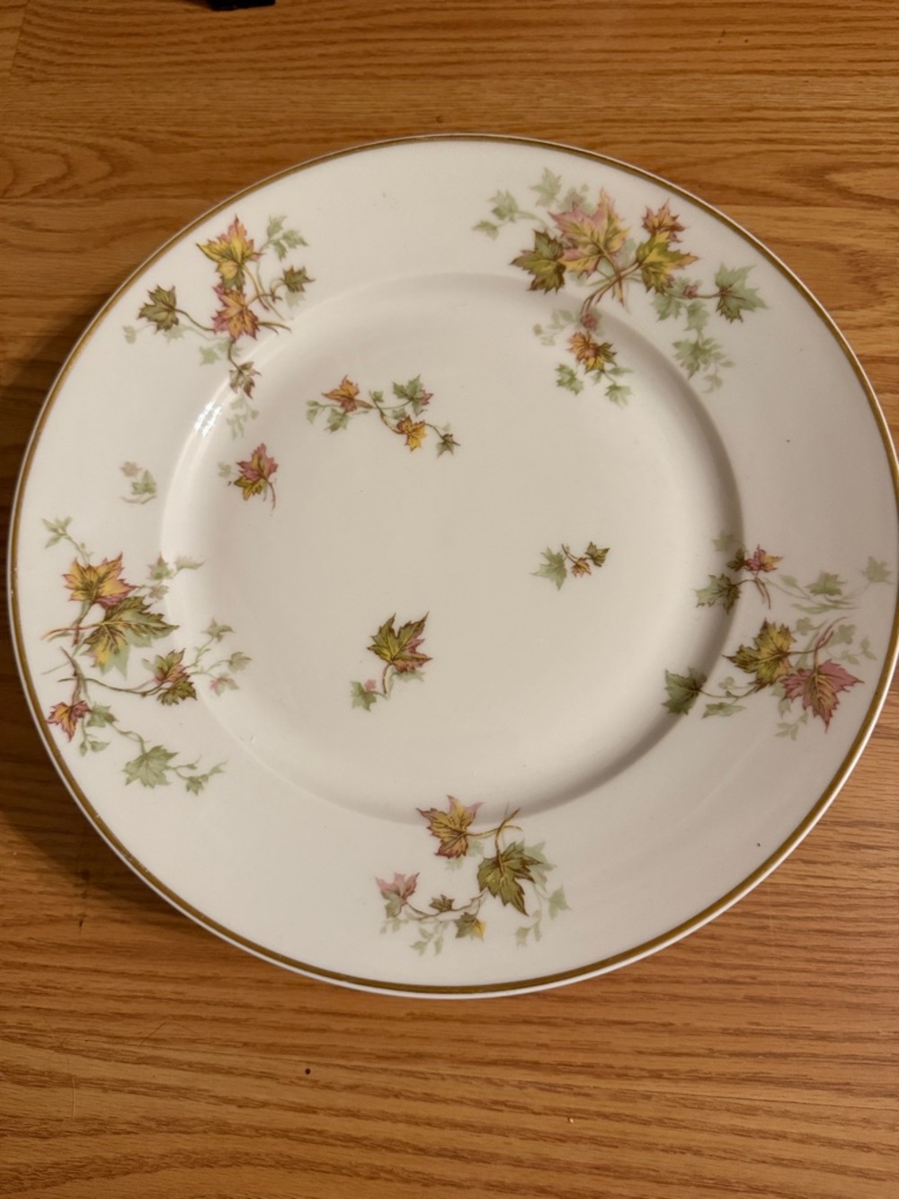Autumn leaf Limoges dinner plates